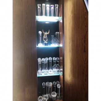 獲杯獲獎(jiǎng)