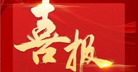 中達(dá)集團(tuán)及多家子公司上榜2024年嘉興民營(yíng)企業(yè)百?gòu)?qiáng)榜單！